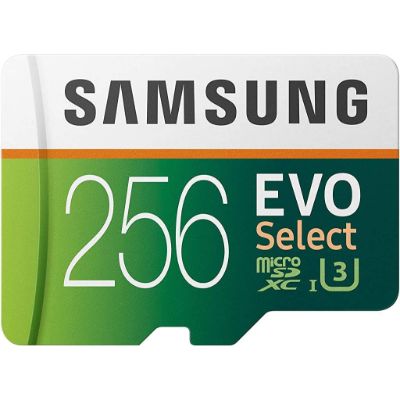 Samsung Electronics EVO 256GB MicroSDXC